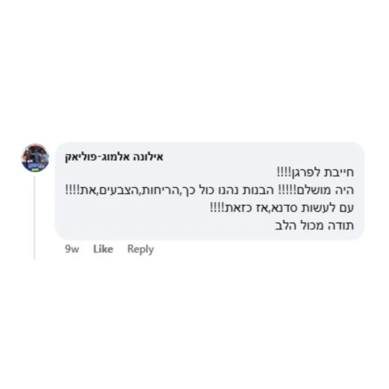 המלצות סדנאות מיניגלוס (2)