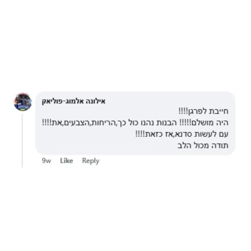 המלצות סדנאות מיניגלוס (2)